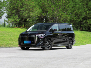 Hongqi-HQ9