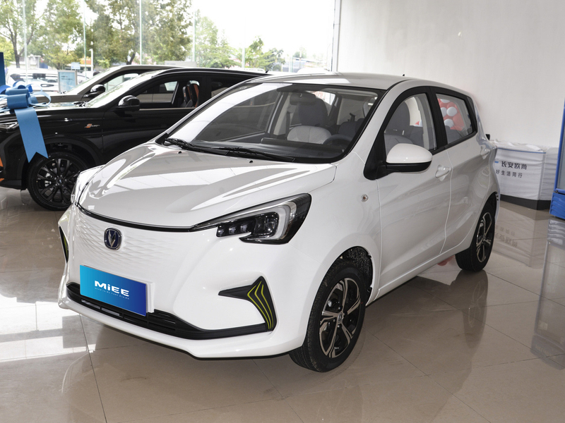 ChangAn-BENBEN E-STAR