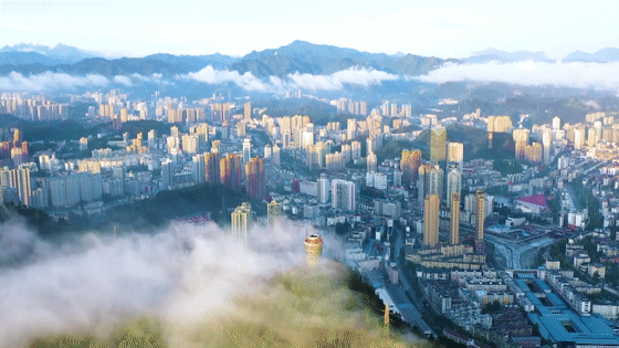 微信图片_20240828152916