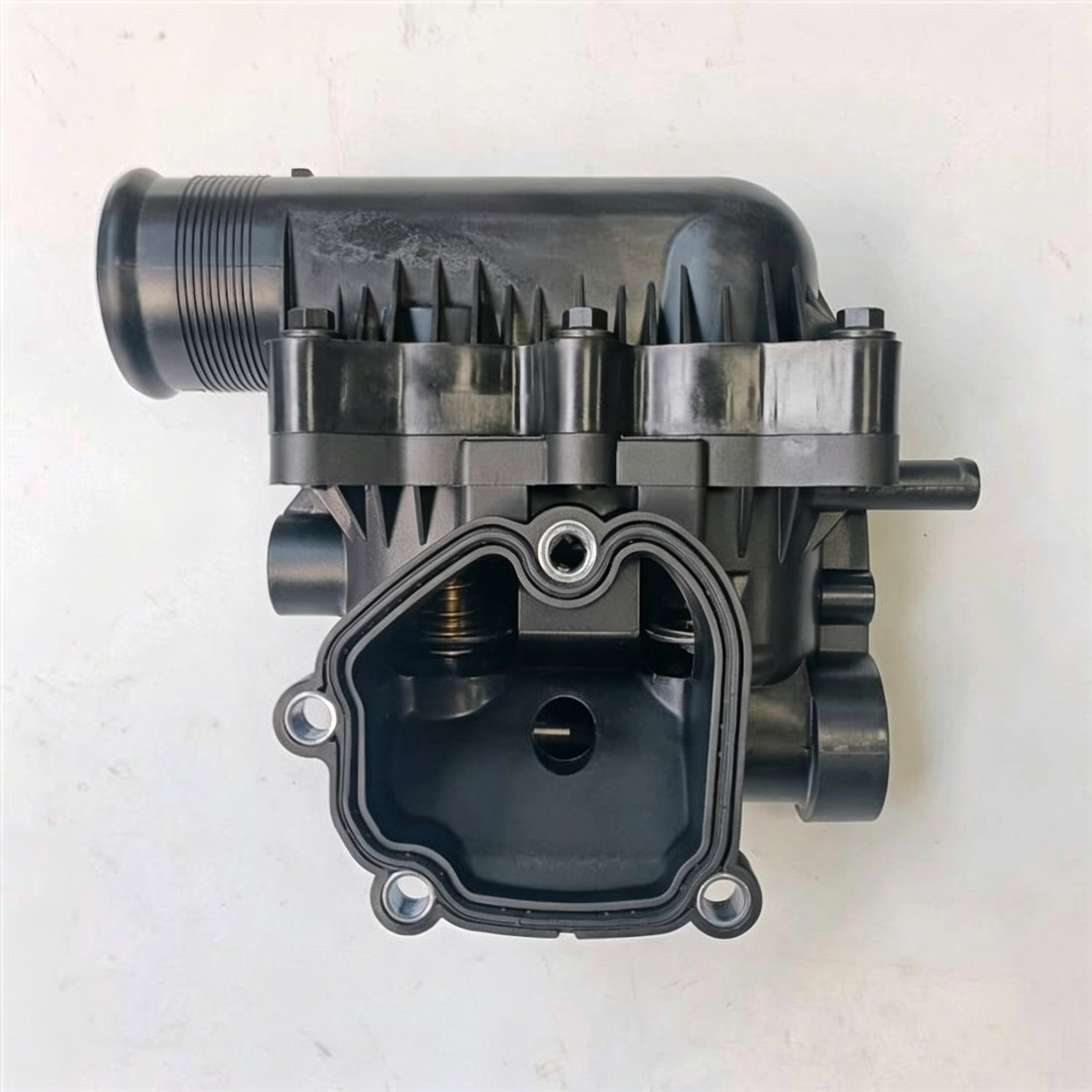 Thermostat and Housing Assembly 3697712