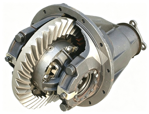 Rear Axle Differential Assembly