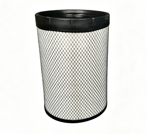Air Filter Kit AA90141 (Includes AF26597 Main Filter & AF26598 Safety Filter)