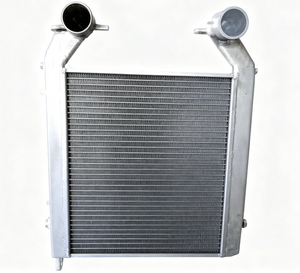 Dongfeng Truck Midship Air Cooler Assembly 119010-D31520Y